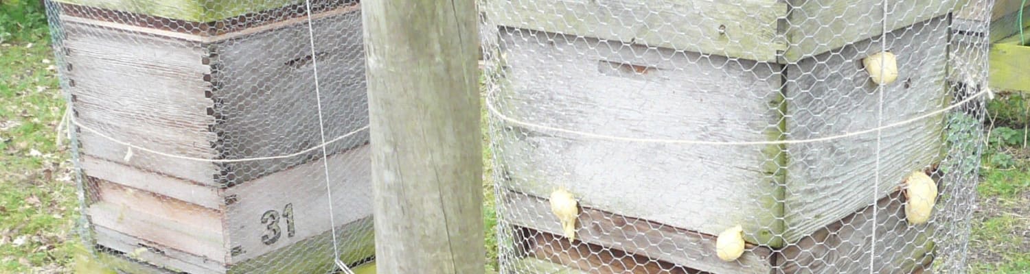 September In The Apiary 2022