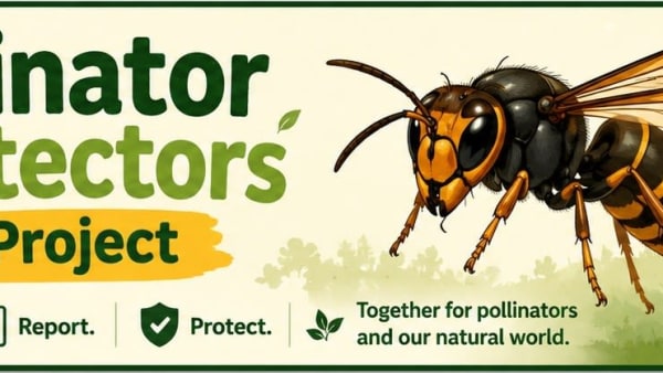 Pollinator Protectors!