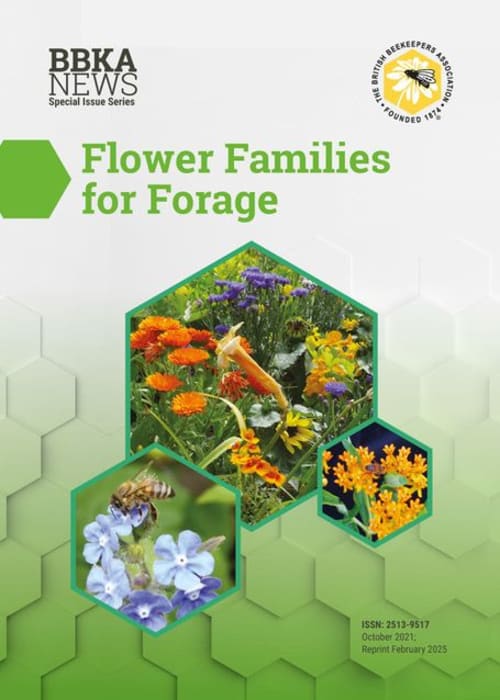 BBKA News – Flower Families for Forage