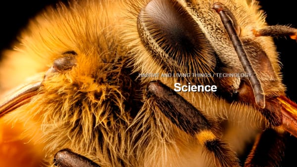 Science