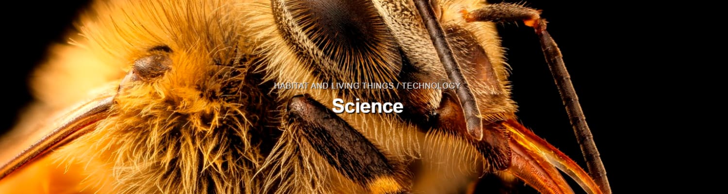 Science