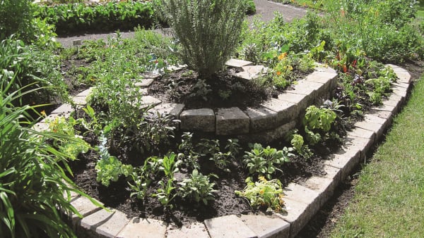 Building a herb spiral – Ideas for School Apiaries