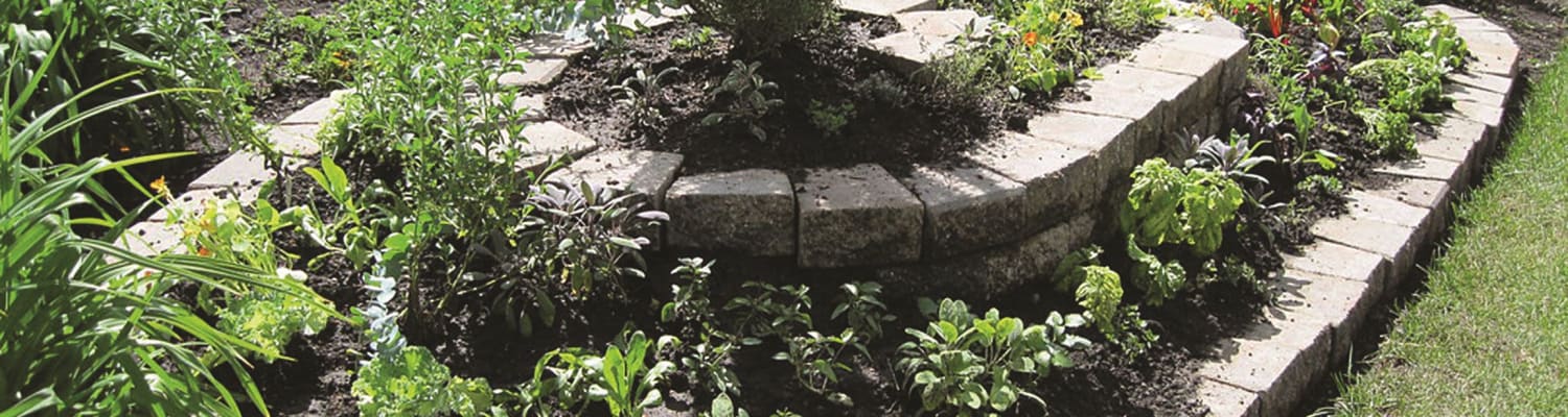 Building a herb spiral – Ideas for School Apiaries