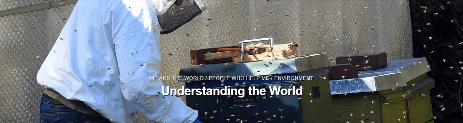 Understanding the World