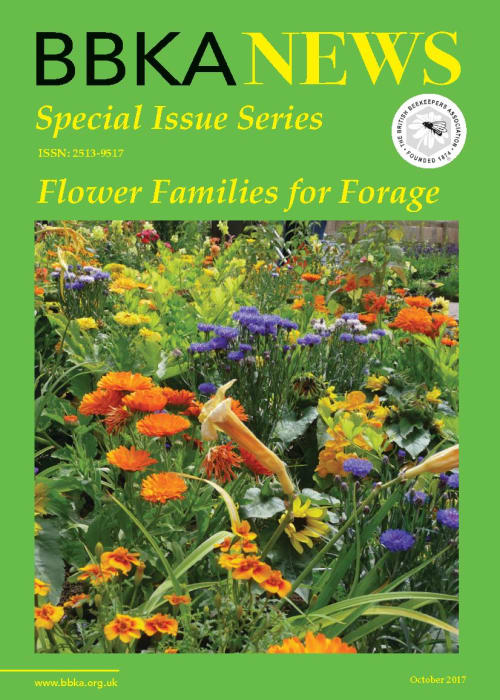 BBKA News – Flower Families for Forage