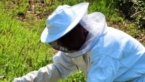 Becoming a Beekeeper