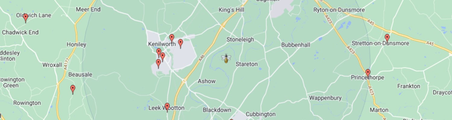 Find a local Swarm Collector