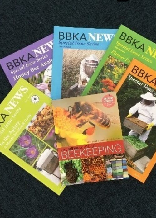 All Bulk Orders