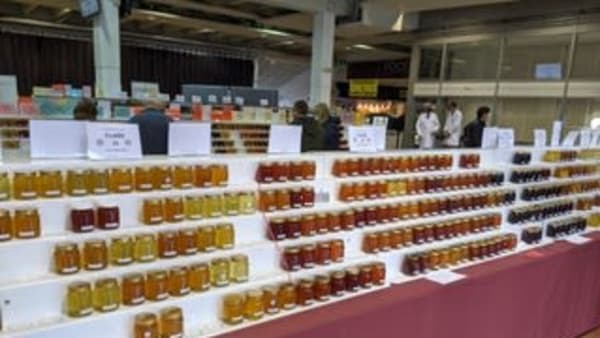 October In The Apiary 2023