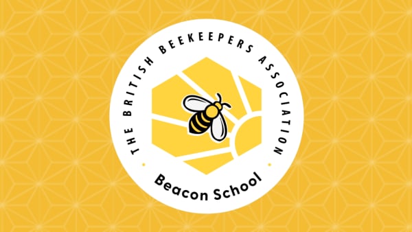 Beacon Schools