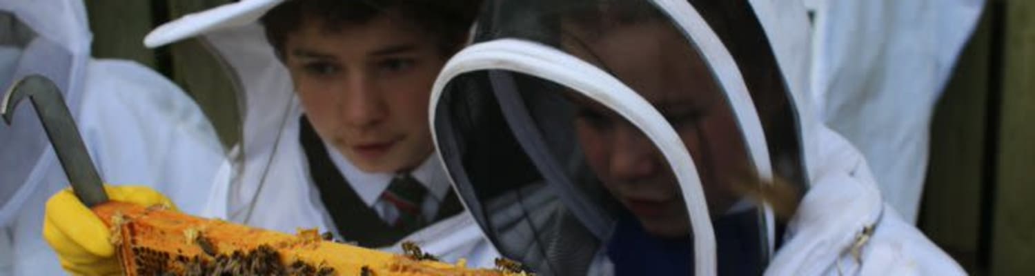 Become a member of the BBKA