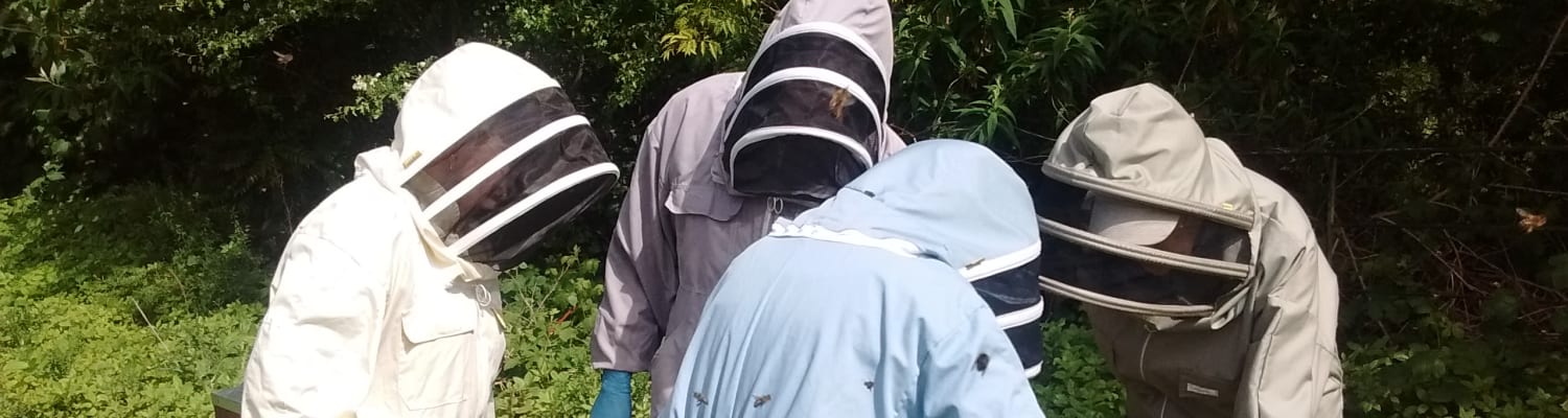 Interested in the fascinating hobby of beekeeping?