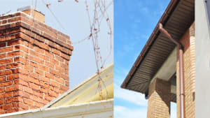 Bees in Buildings