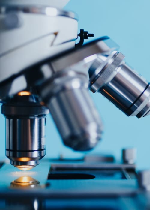 Microscopy - Intermediate Course - Stoneleigh, Warwickshire   - Two Days - 7th & 8th February 2026